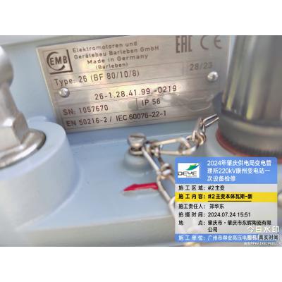 EMB瓦斯继电器 BF80/10/8 圆形8孔 1.0m/s一轻三重-0219