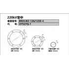 传奇 220kV变中套管BRDLW2-1...