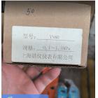 上海晨仪仪表 压力仪表YN60  -0....