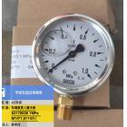 威卡表 82170036 1MPa M1...