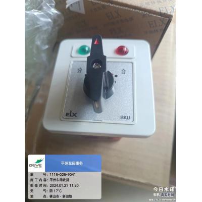 ELX万能转换开关LW21-16 DM:Z/4.0011.1N2-BKU DC110V (3101)